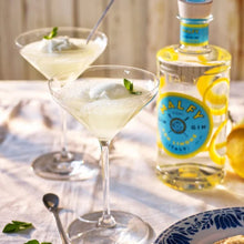 Charger l'image dans la galerie, MALFY GIN ORIGINALE 41% 1 L