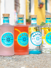 Charger l'image dans la galerie, MALFY GIN CON AMARENA 41% 1L