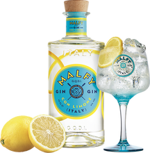 Charger l'image dans la galerie, MALFY GIN CON LIMONE 1 L