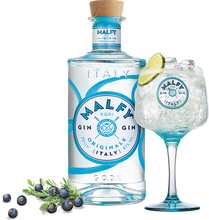 Charger l'image dans la galerie, MALFY GIN ORIGINALE 41% 1 L