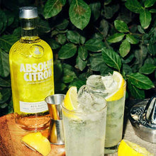 Charger l'image dans la galerie, ABSOLUT VODKA CITRON 40% 1L

