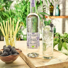 Charger l'image dans la galerie, BELVEDERE ORGANIC INFUSIONS BLACKBERRY &amp; LEMONGRASS 40% 1L
