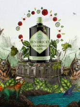 Charger l'image dans la galerie, HENDRICK'S AMAZONIA 43,4% 1L
