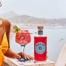 Charger l'image dans la galerie, MALFY GIN CON AMARENA 41% 1L
