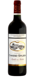 CHÂTEAU CHASSE-SPLEEN 2018 75CL